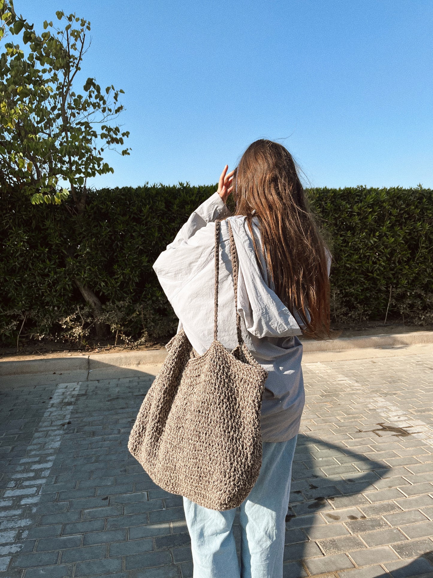 The Brownish-bag
